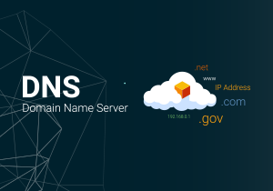 VadiHost Nameserver (NS) Bilgileri
